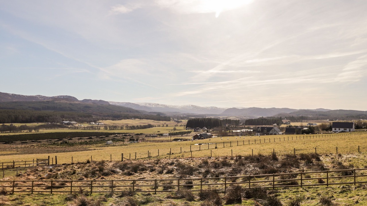 Photo of Others in South Galson