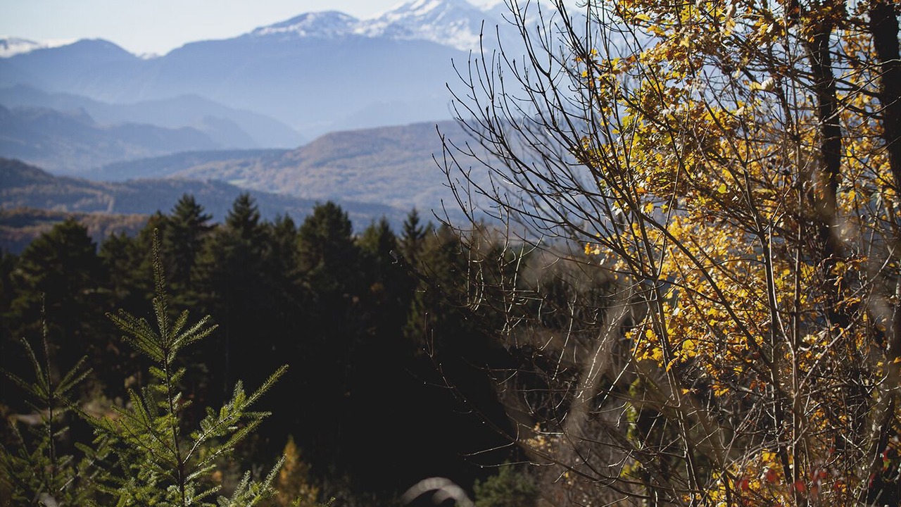 Photo of Outdoor in Saint-Benoit