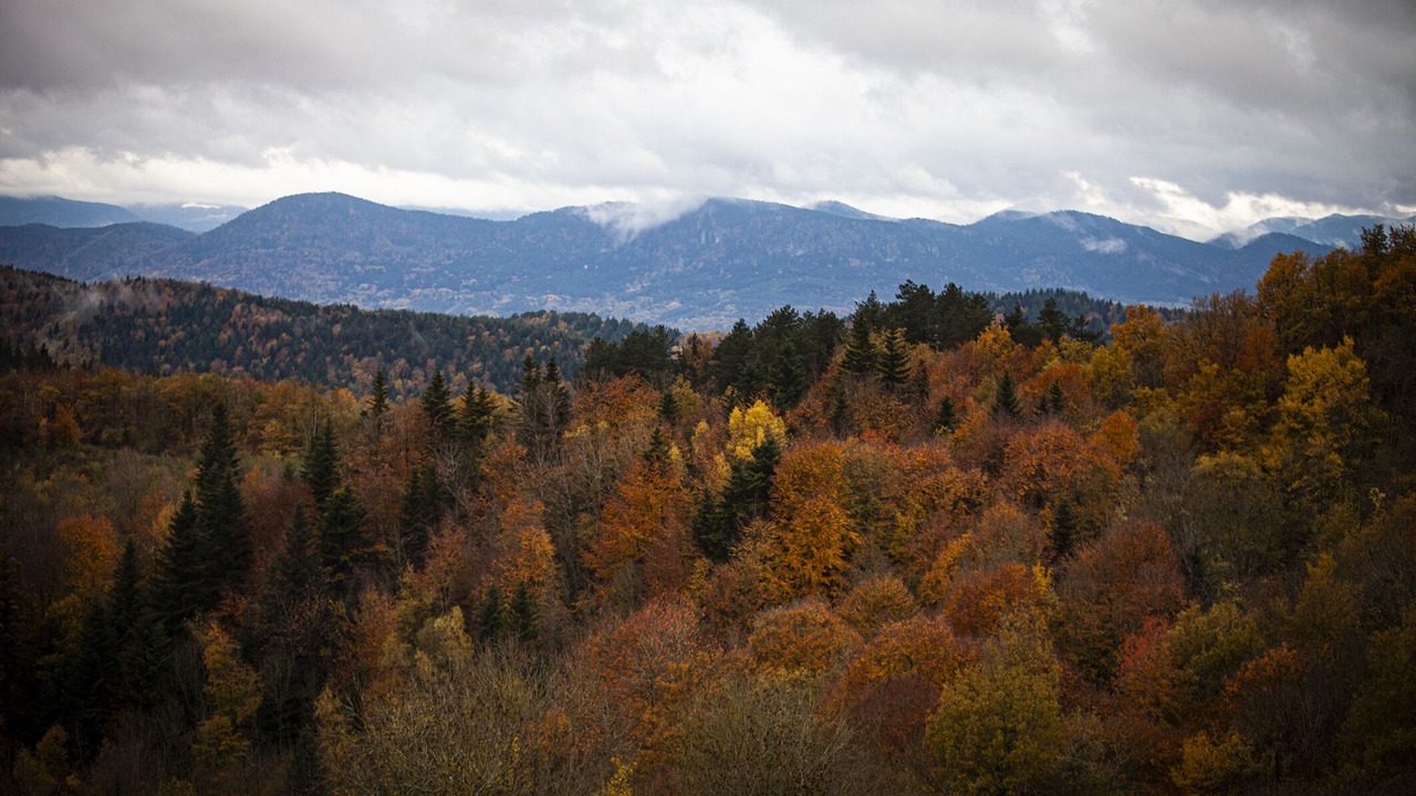Photo of Outdoor in Saint-Benoit