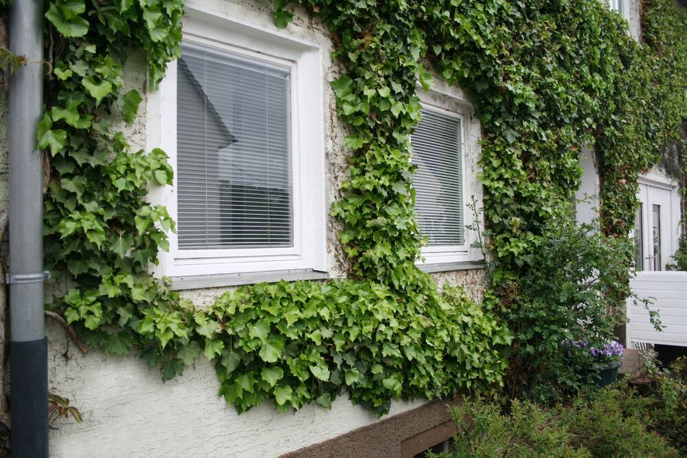 Photo of Outdoor in Weissach