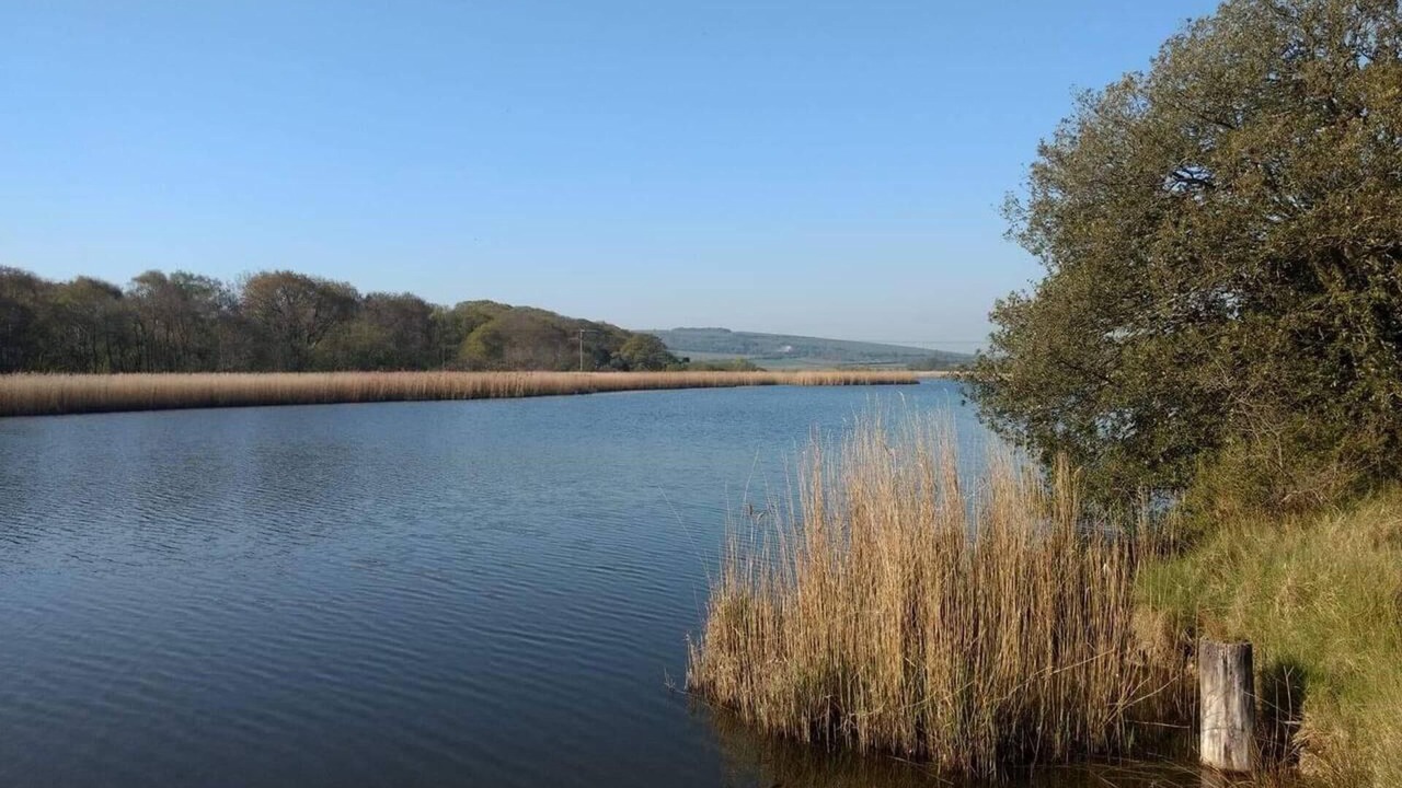 Photo of Outdoor in Ryde