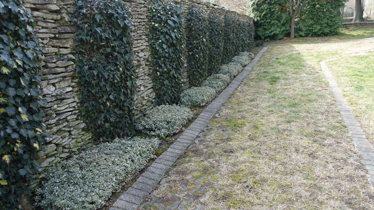 Photo of Outdoor in Heviz