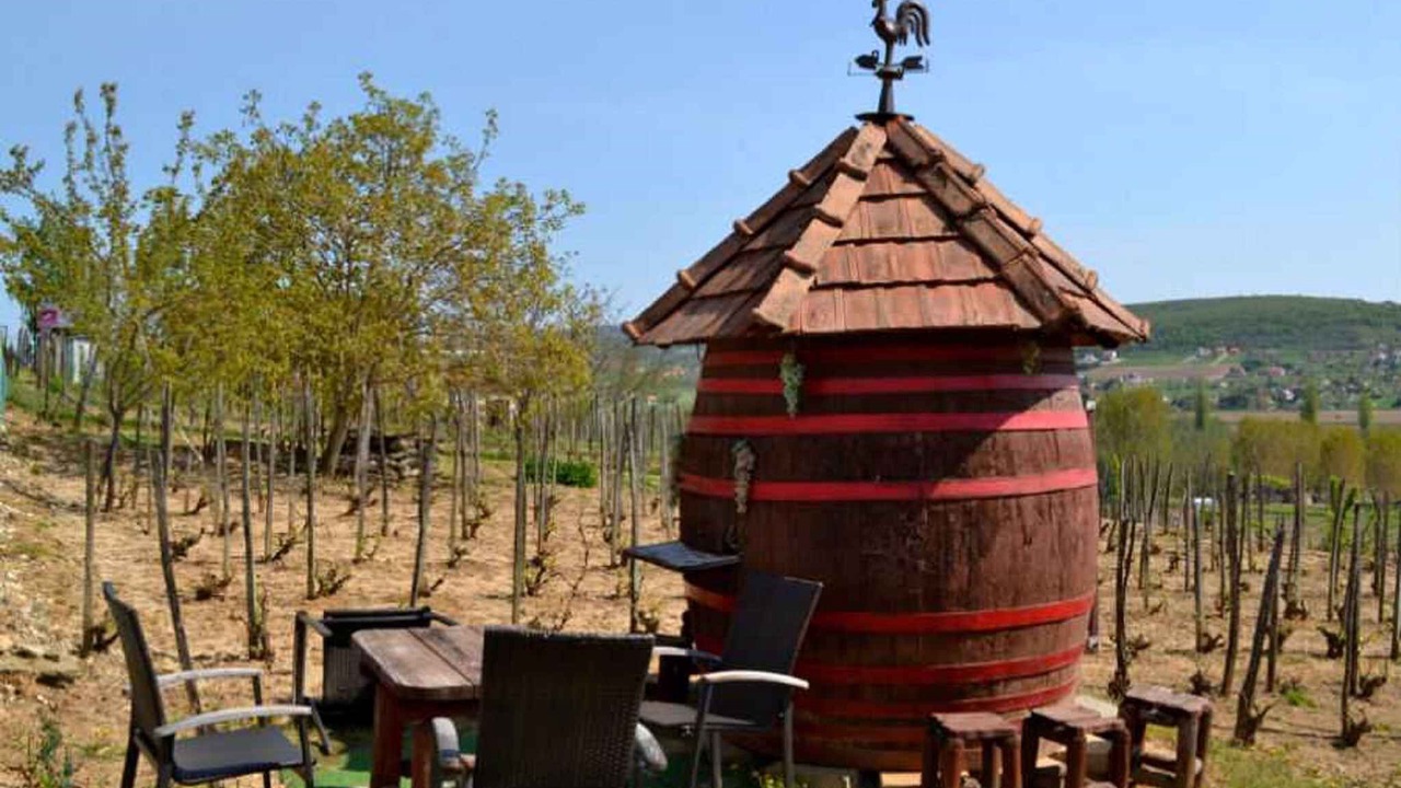 Photo of Outdoor in Heviz