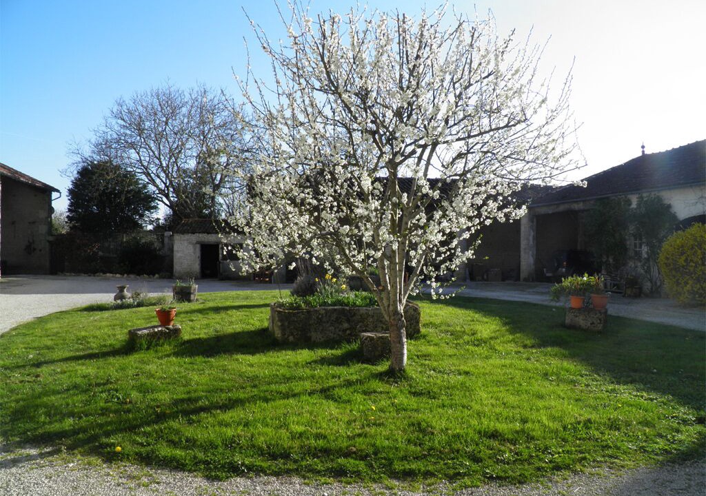 Photo of Outdoor in Haimps