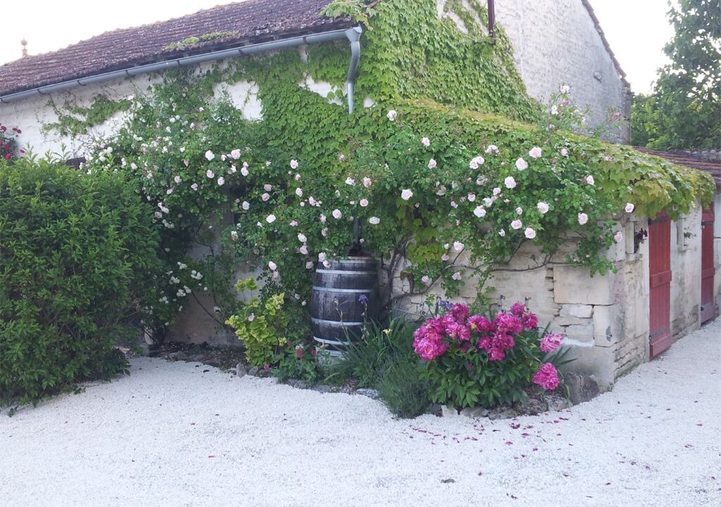 Photo of Outdoor in Haimps