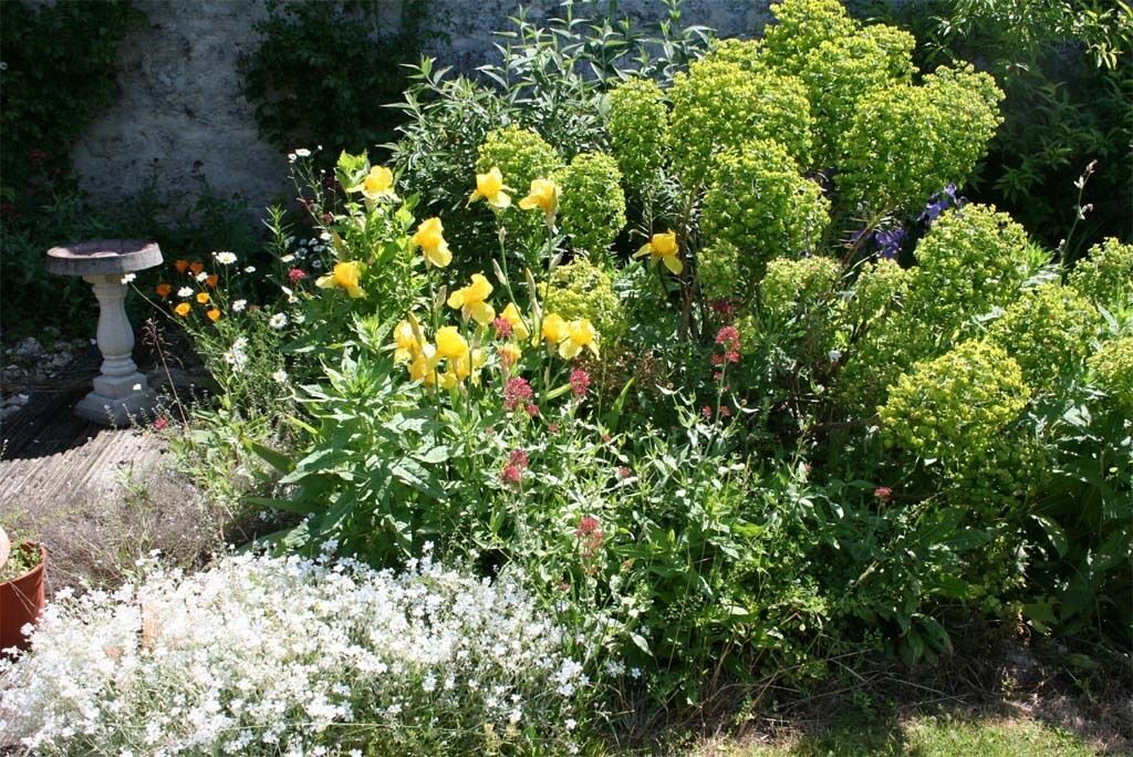 Photo of Outdoor in Haimps