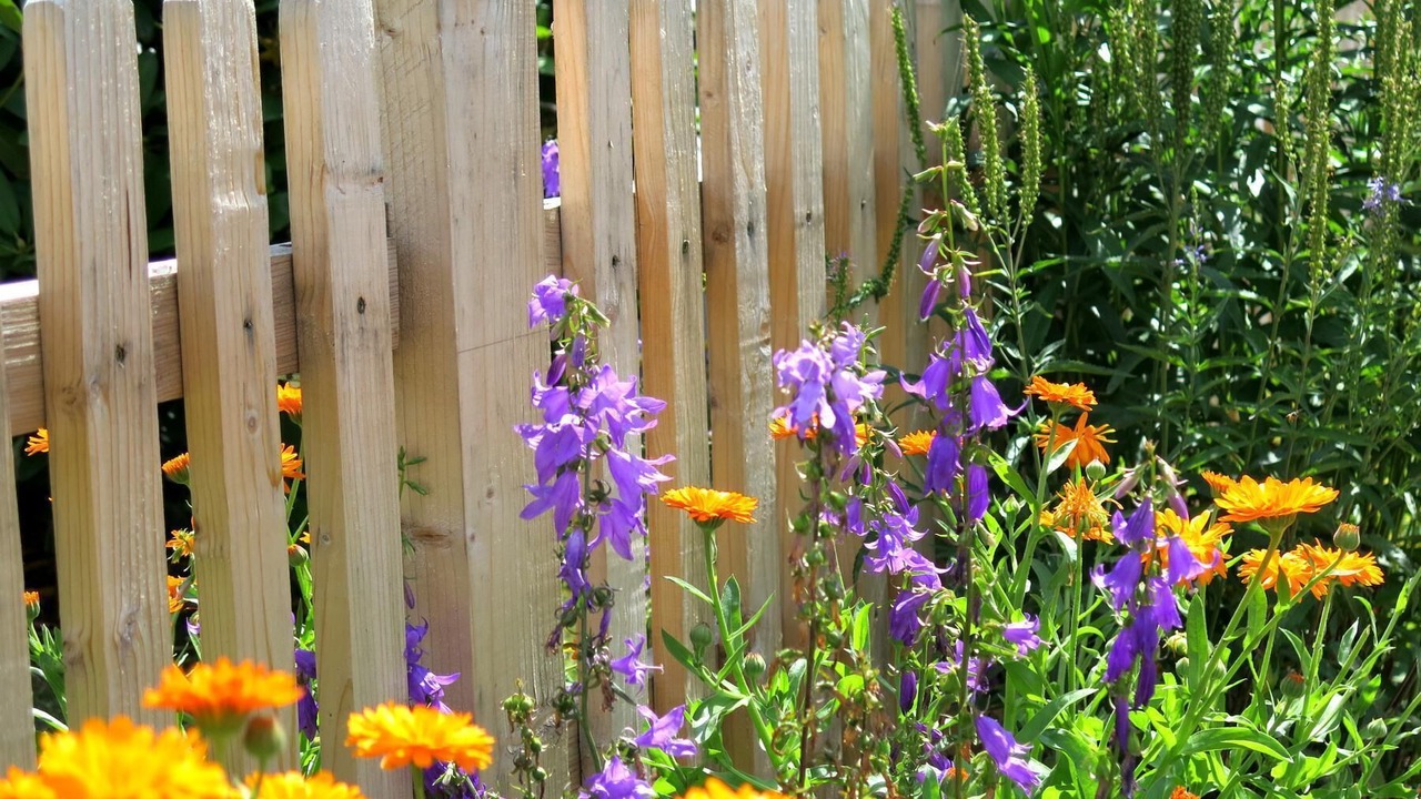 Photo of Outdoor in Kappel