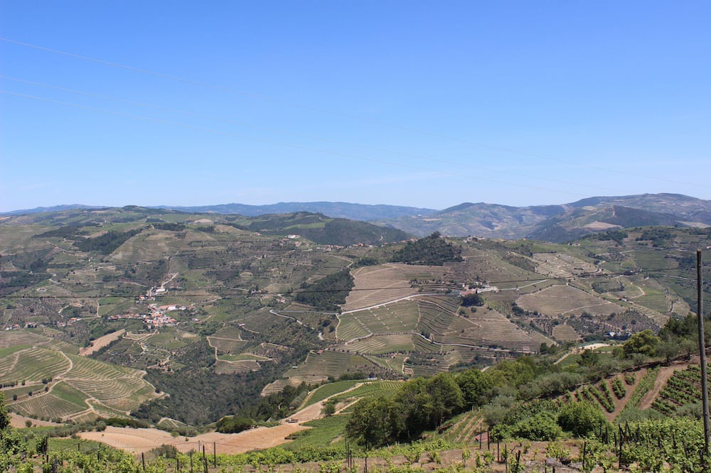 Photo of Others in Provesende