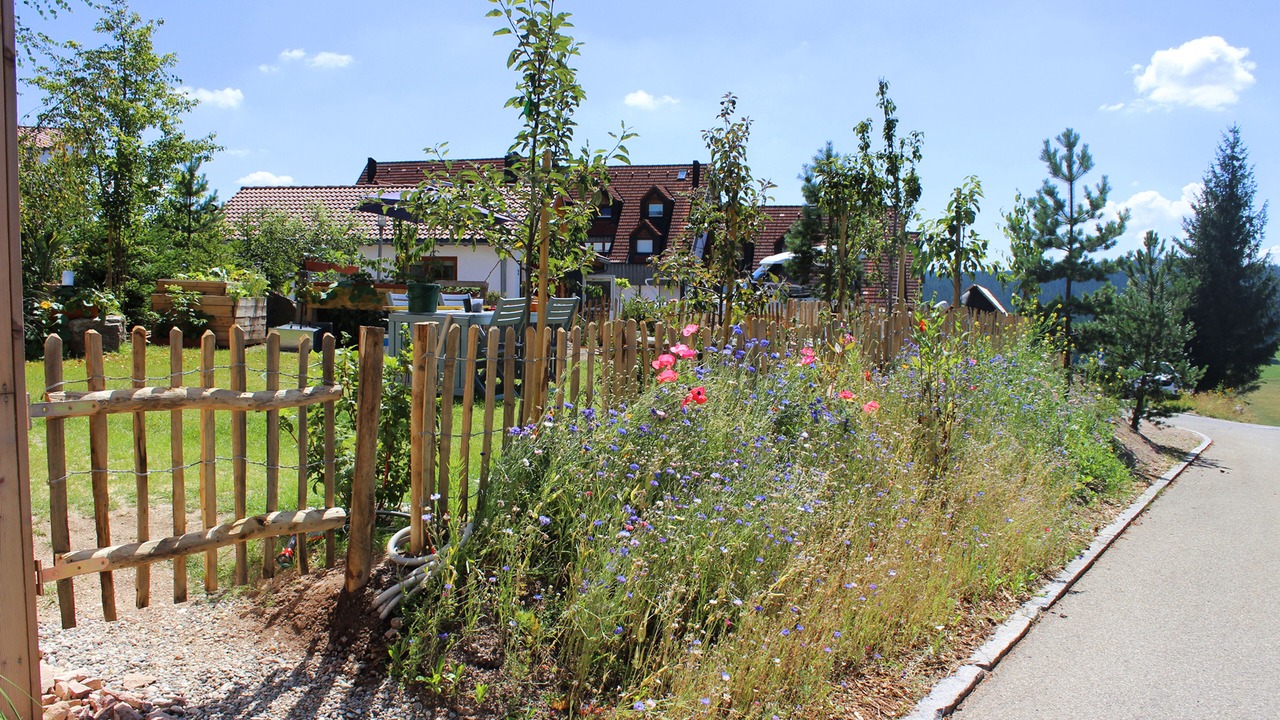 Photo of Outdoor in Schonach im Schwarzwald