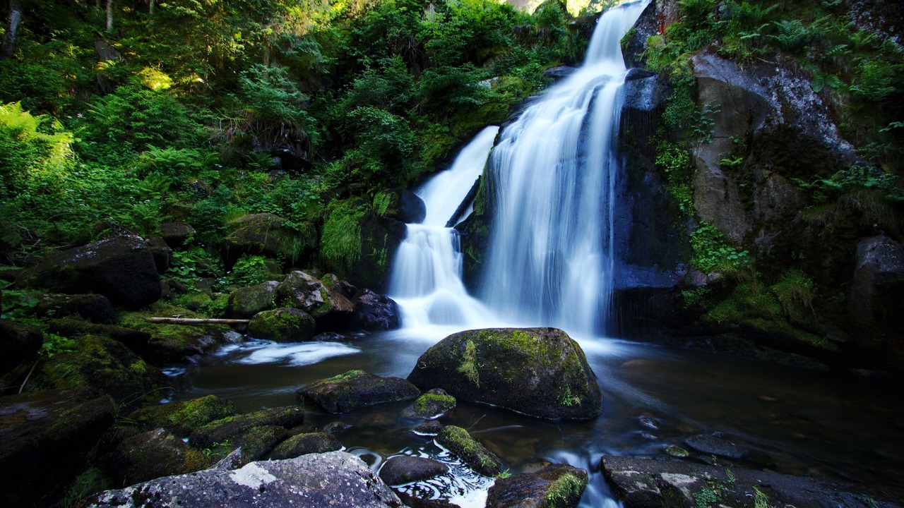 Photo of Outdoor in Schonach im Schwarzwald