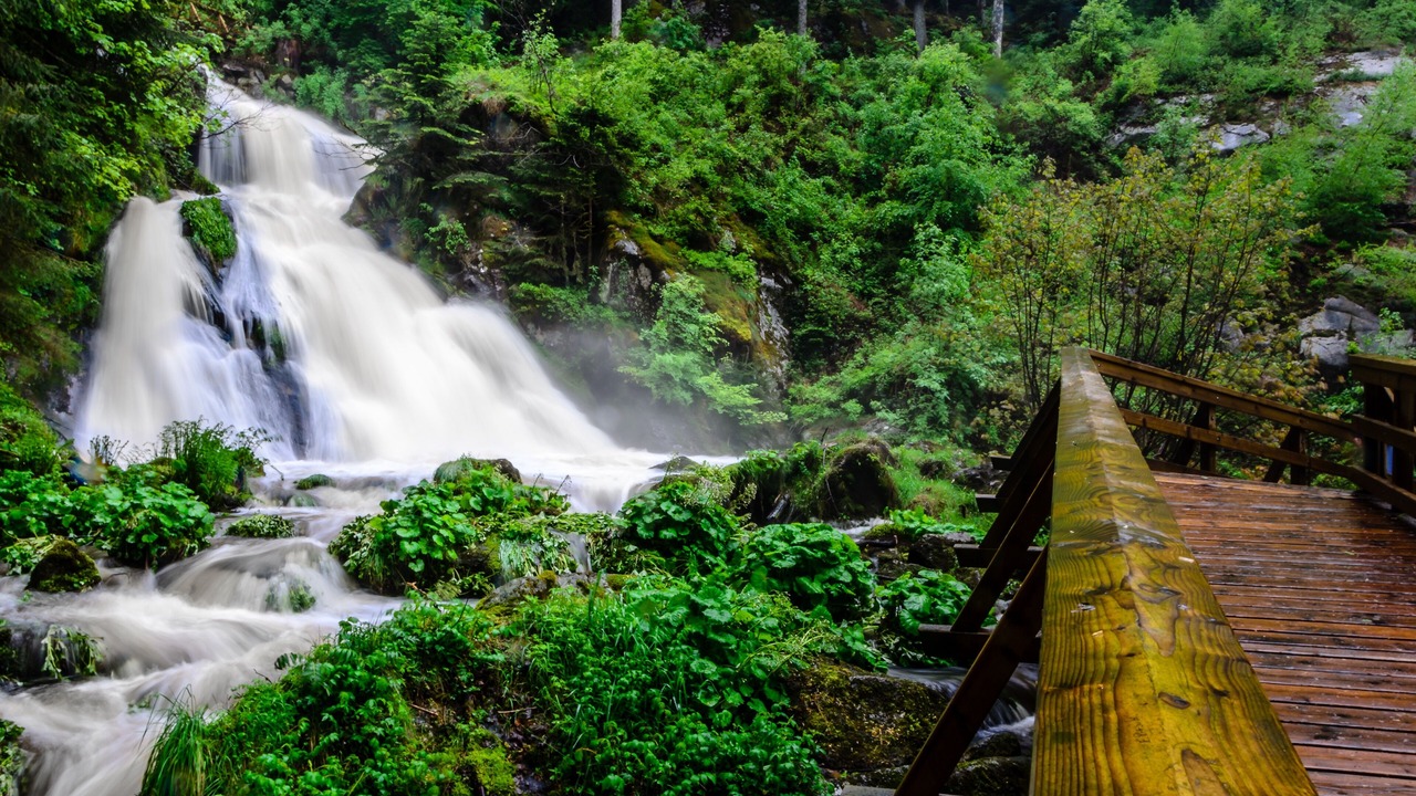Photo of Outdoor in Schonach im Schwarzwald