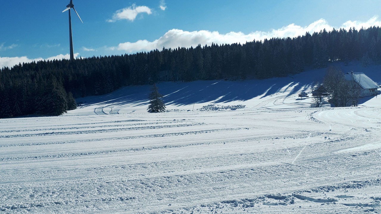 Photo of Others in Schonach im Schwarzwald