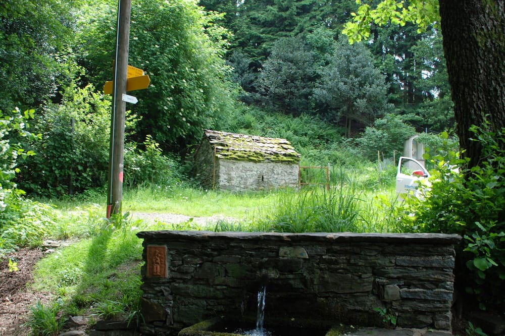 Photo of Others in Monteceneri
