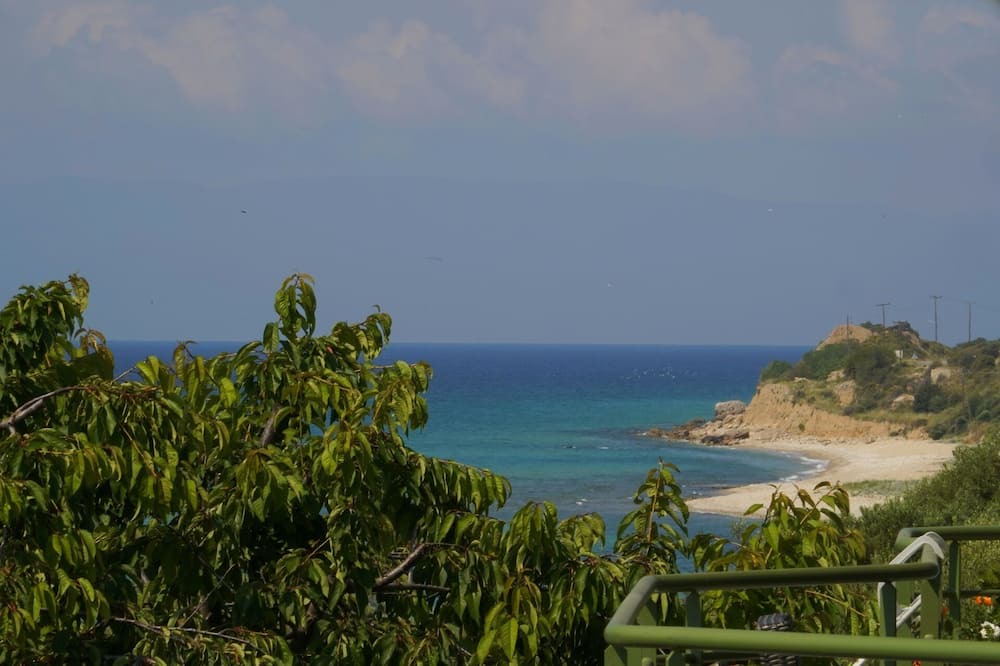 Photo of Others in Pangaio
