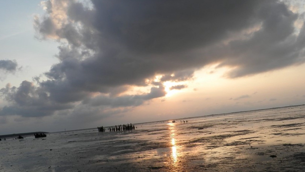 Photo of Outdoor in Anjum