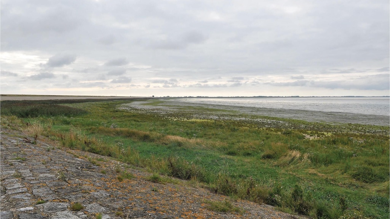 Photo of Others in Westerland