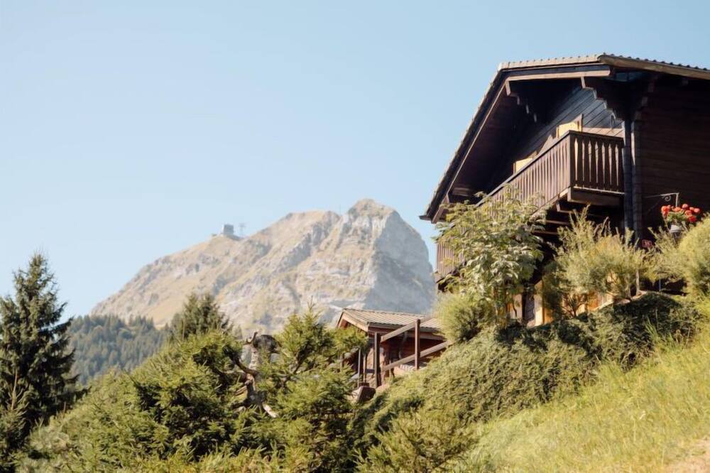 Photo of Outdoor in Moleson