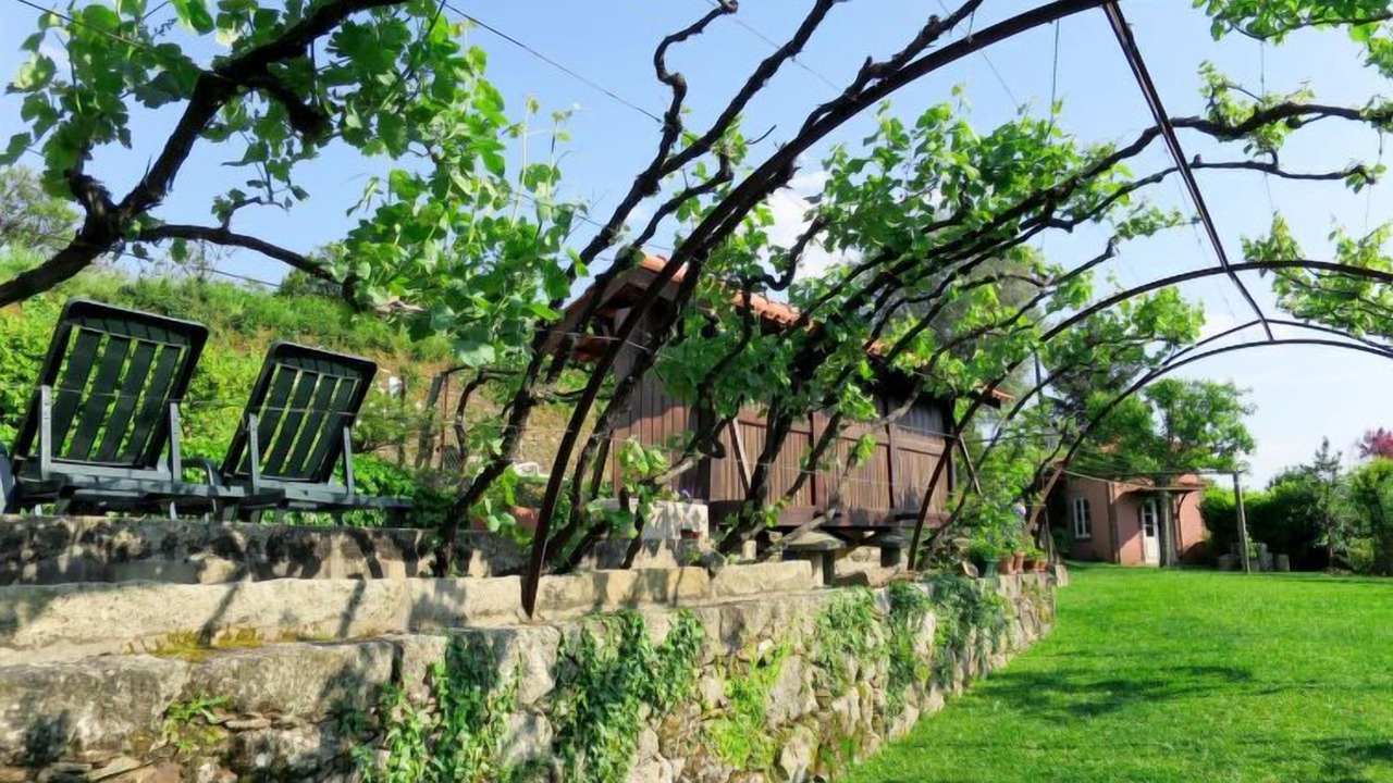 Photo of Outdoor in Bico