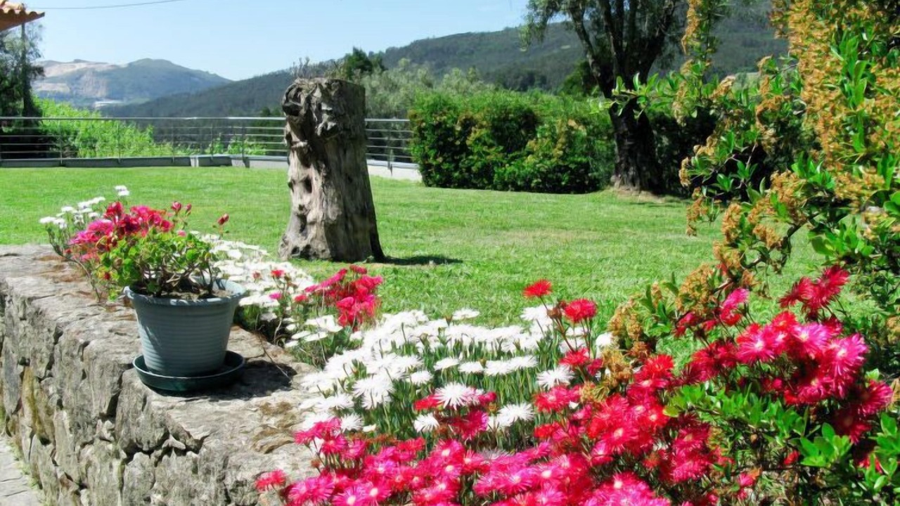 Photo of Outdoor in Bico