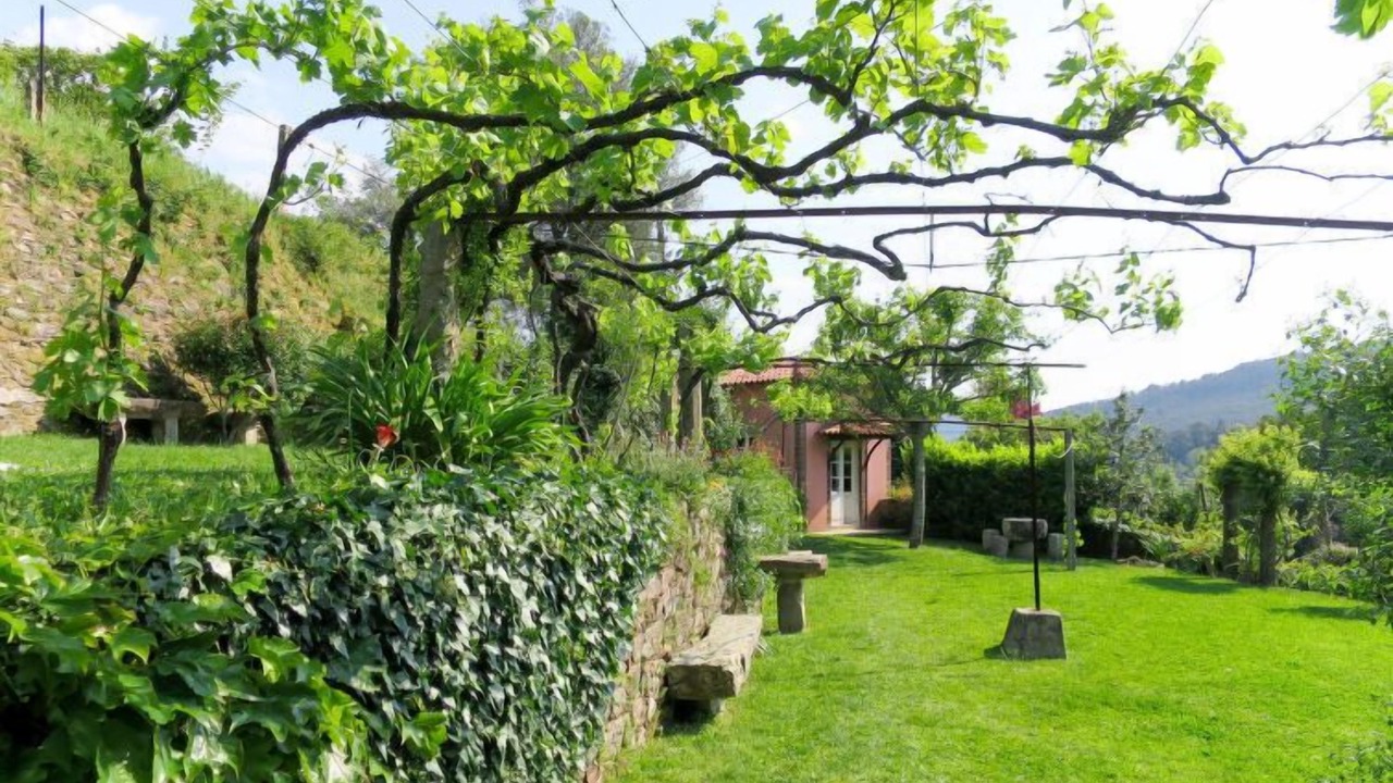 Photo of Outdoor in Bico