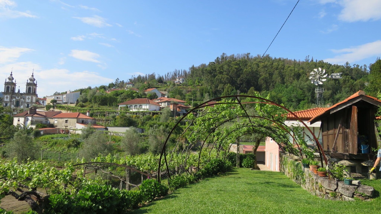Photo of Outdoor in Bico