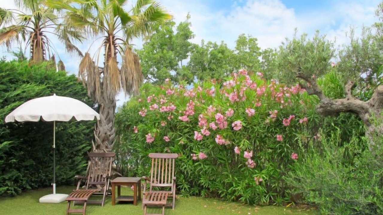 Photo of Outdoor in La Rouviere