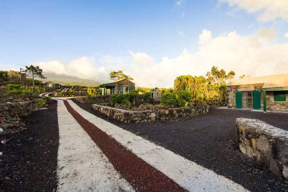 Photo of Others in Sao Roque do Pico