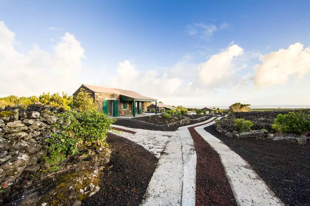 Photo of Others in Sao Roque do Pico