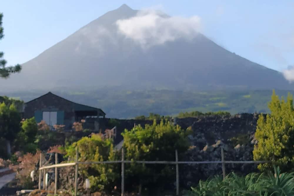 Photo of Others in Sao Roque do Pico