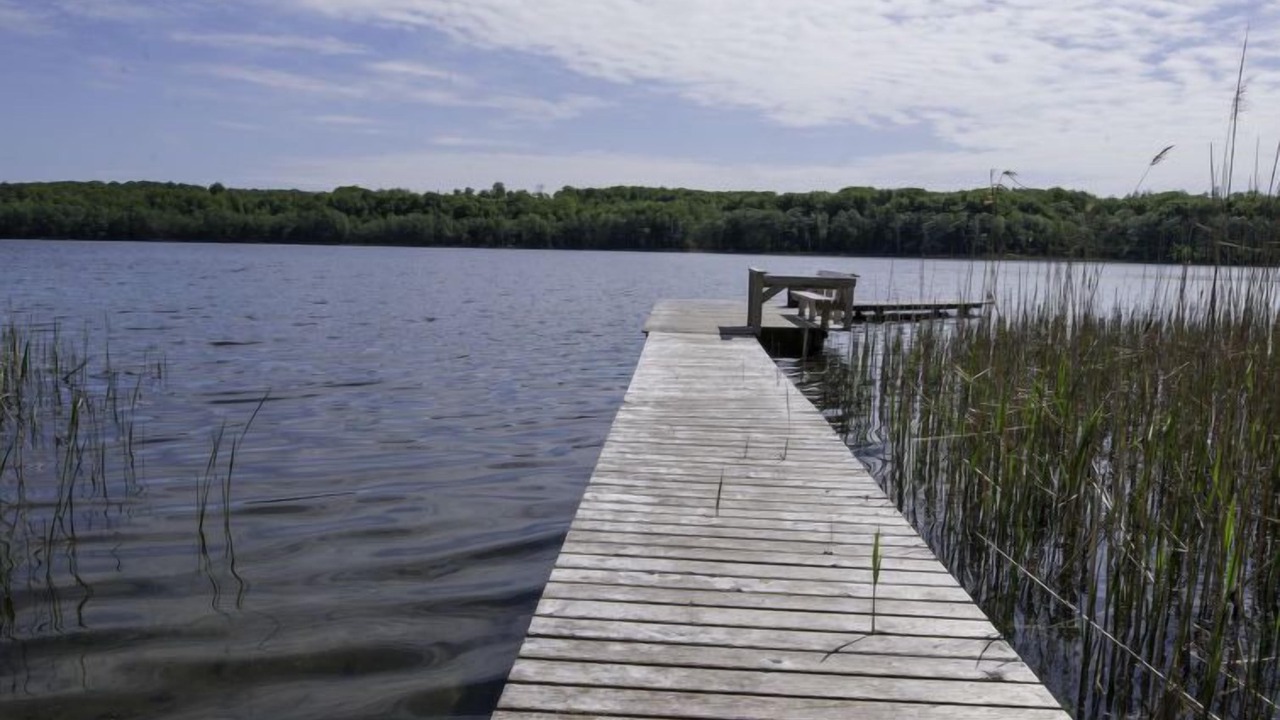 Photo of Outdoor in Biskupiec