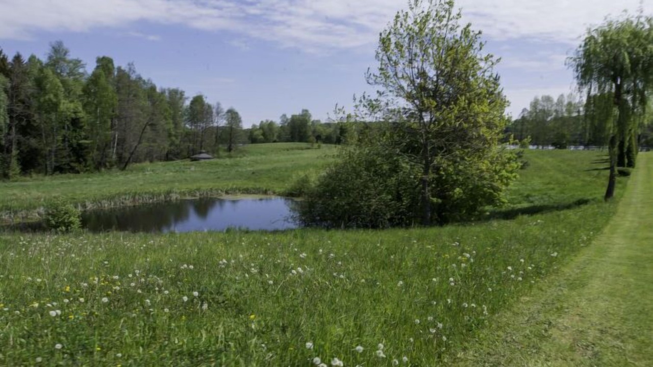 Photo of Outdoor in Biskupiec