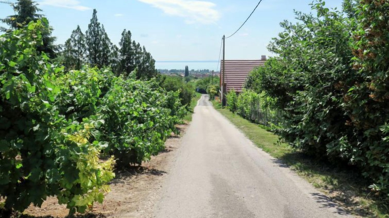 Photo of Outdoor in Alsóörs