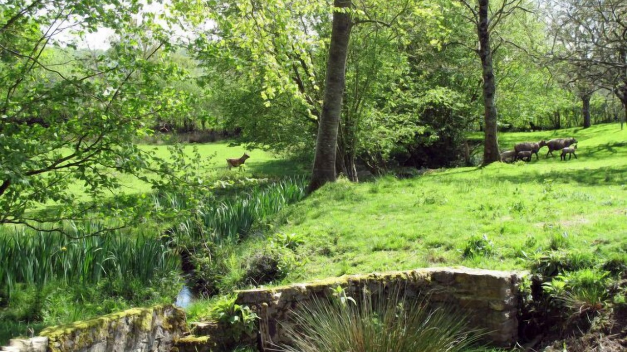 Photo of Outdoor in Hudimesnil