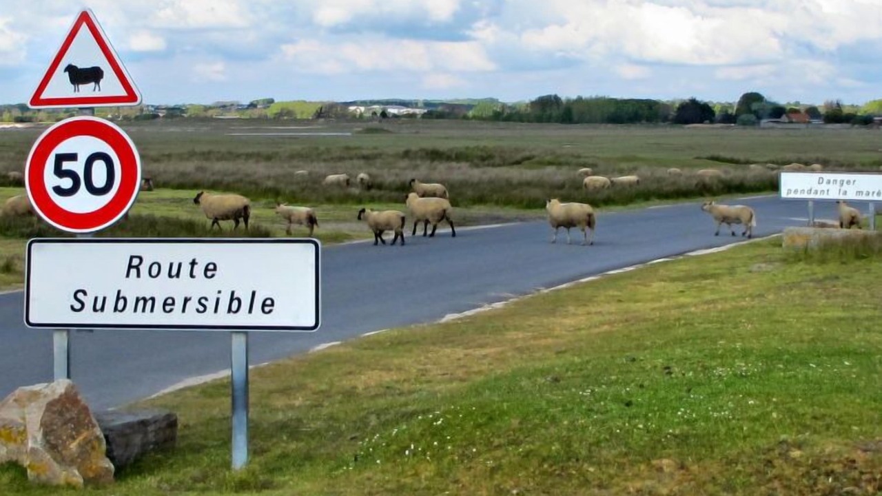 Photo of Outdoor in Hudimesnil