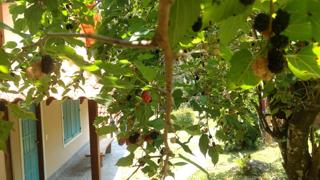 Photo of Outdoor in Sao Pedro da Serra
