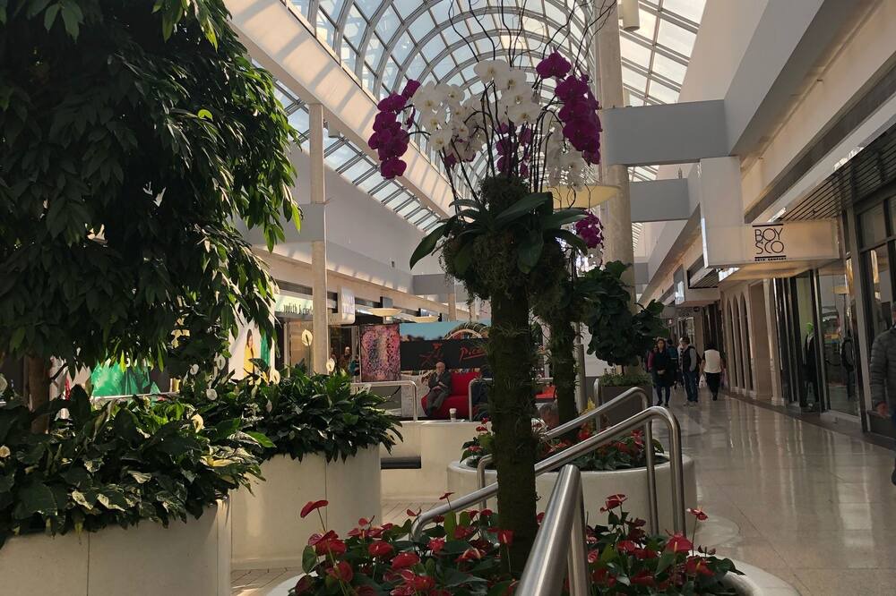 Photo of Others in Shaughnessy