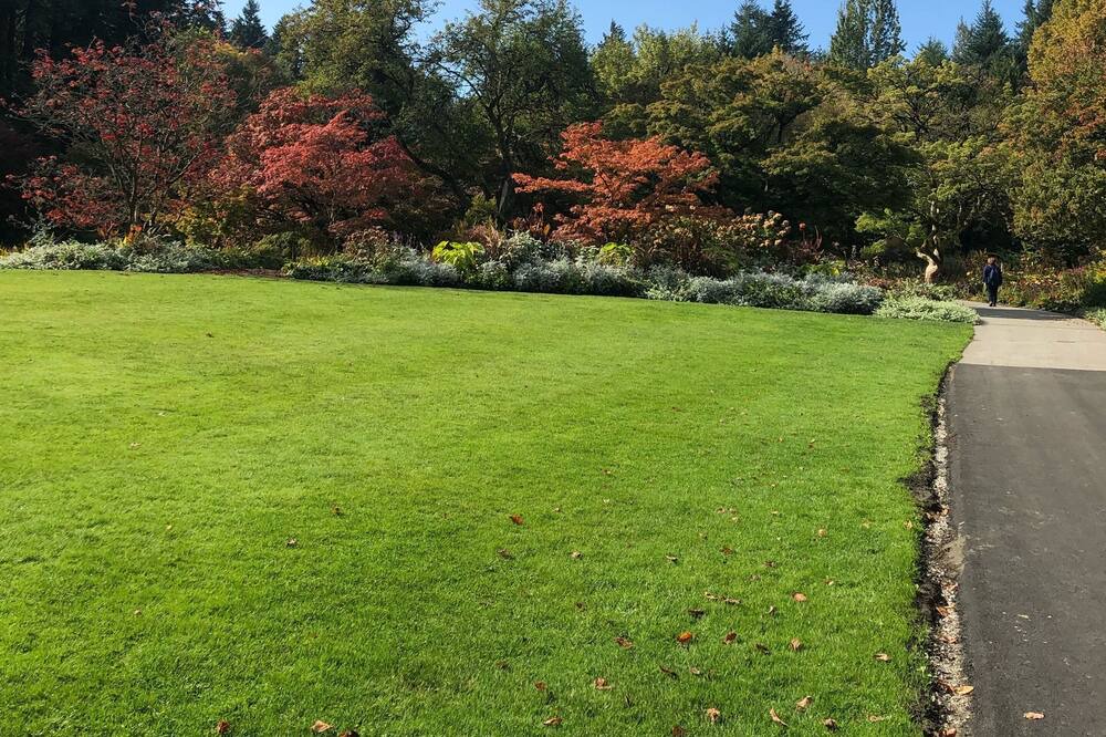 Photo of Outdoor in Shaughnessy