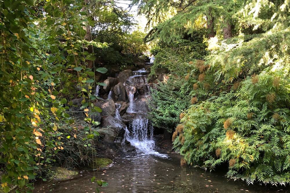 Photo of Outdoor in Shaughnessy