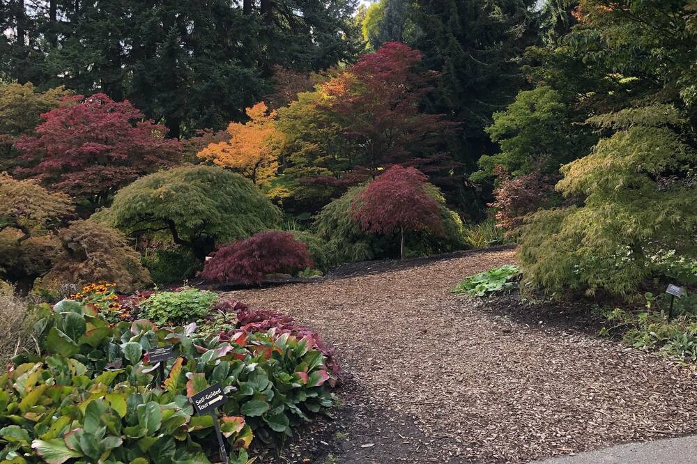 Photo of Outdoor in Shaughnessy