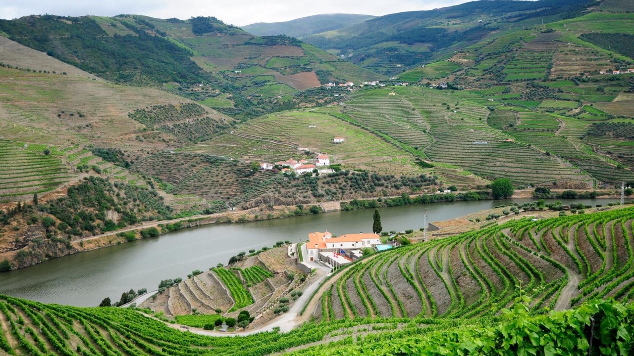 Photo of Outdoor in Bomfim