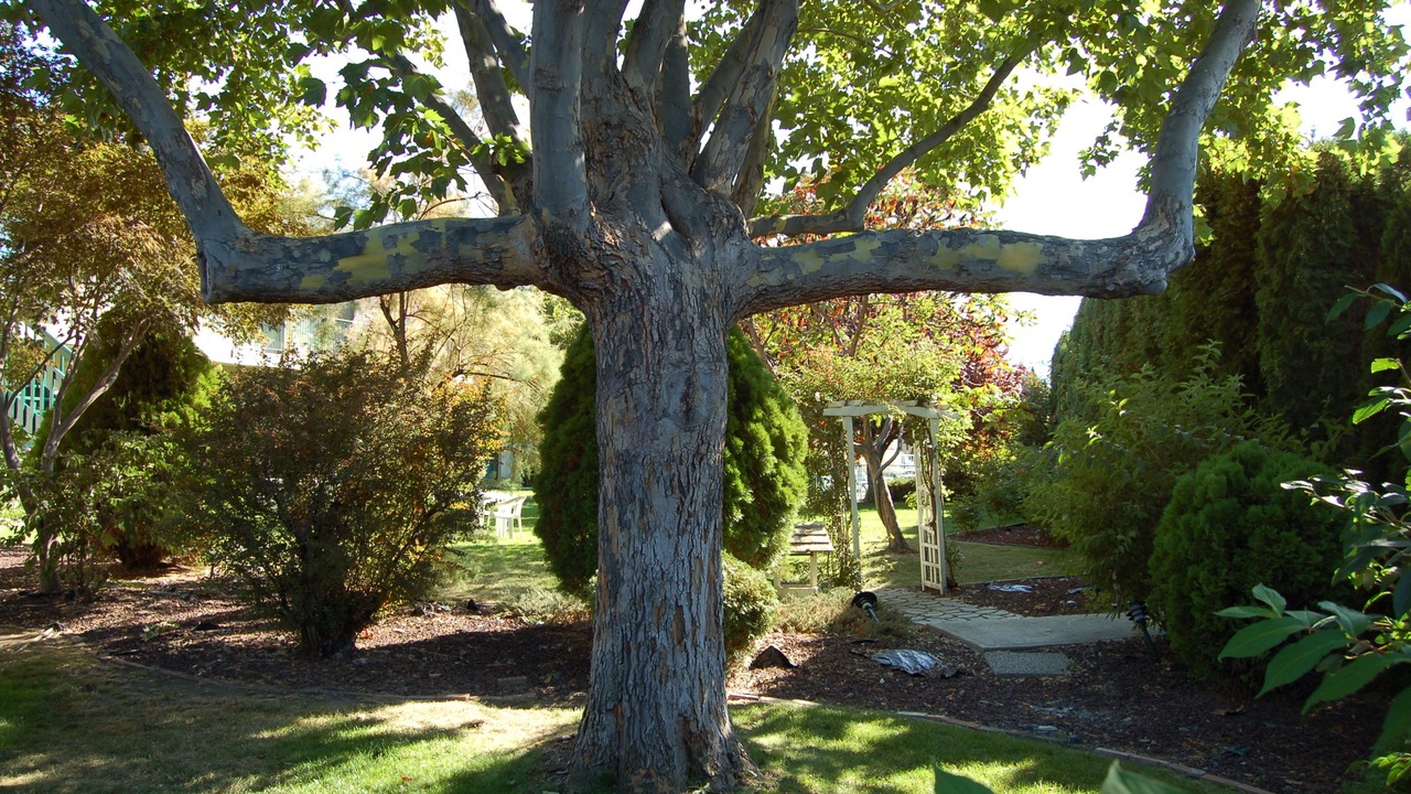 Photo of Outdoor in Okanagan-Similkameen