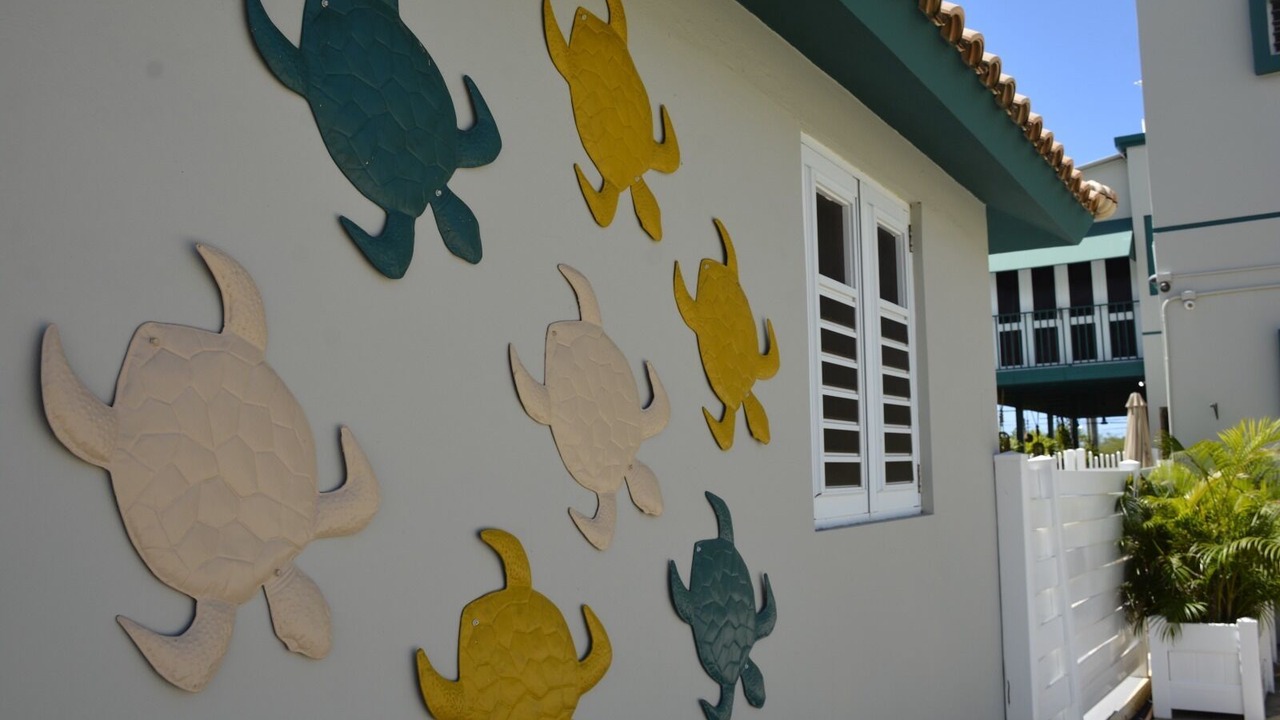 Photo of Outdoor in La Parguera