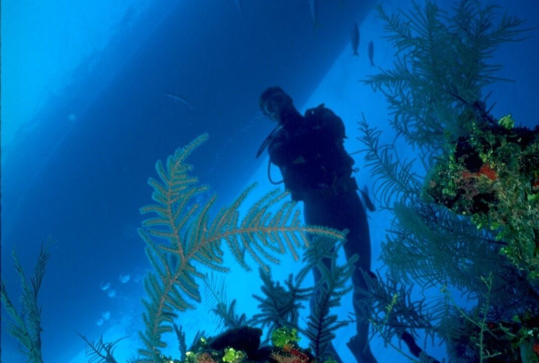 Photo of Others in La Parguera