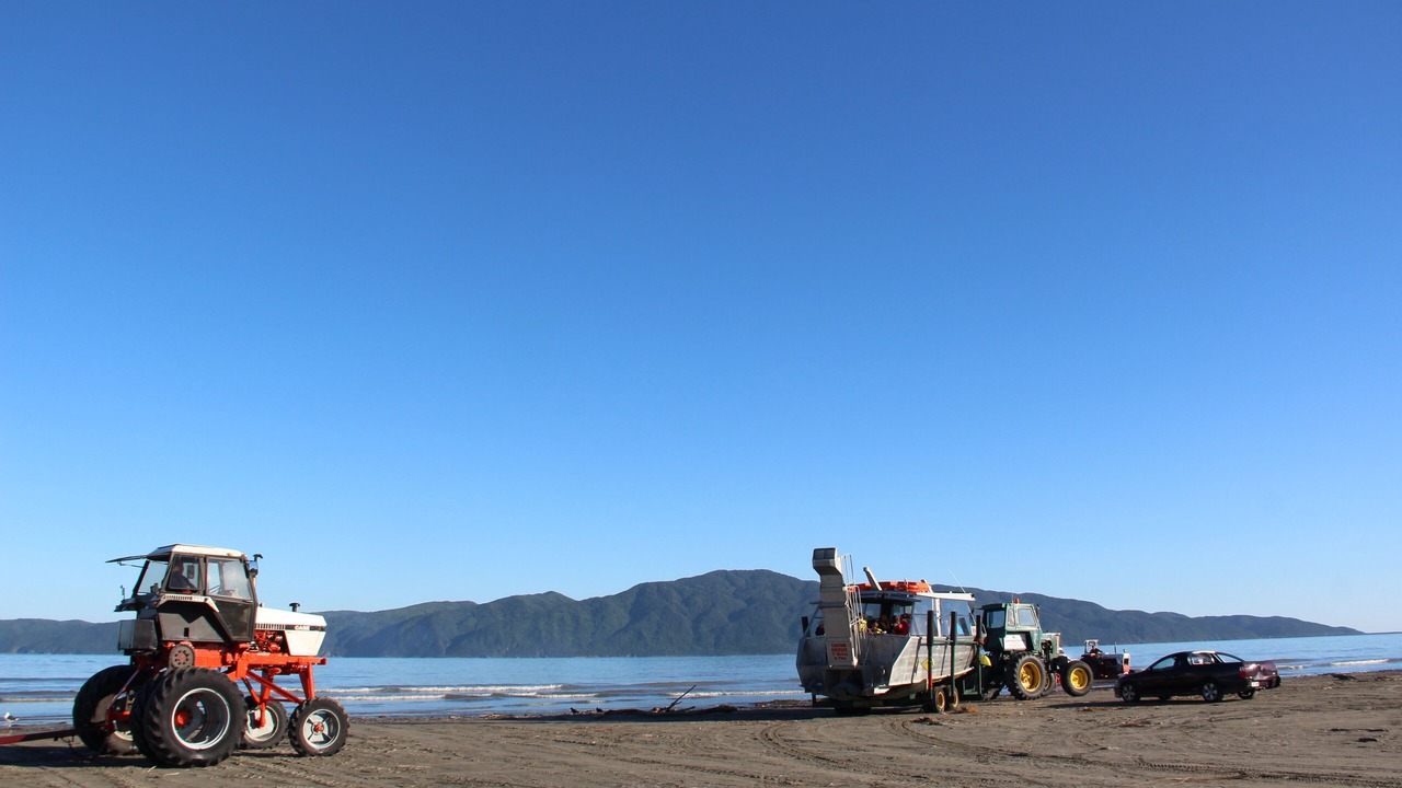 Photo of Others in Raumati South