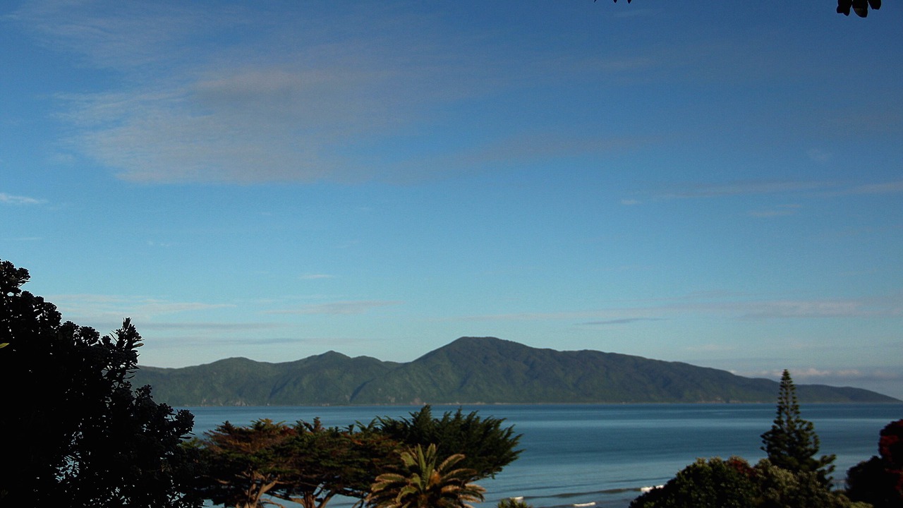 Photo of Others in Raumati South