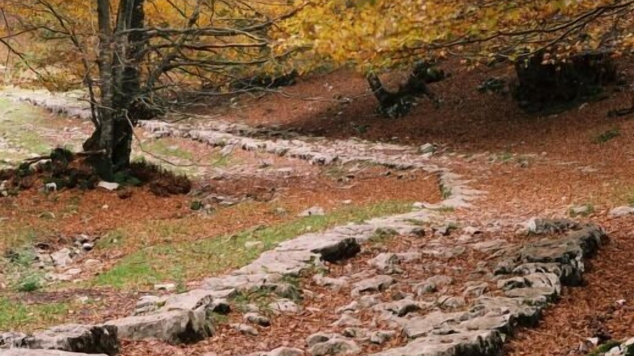 Photo of Outdoor in Zegama