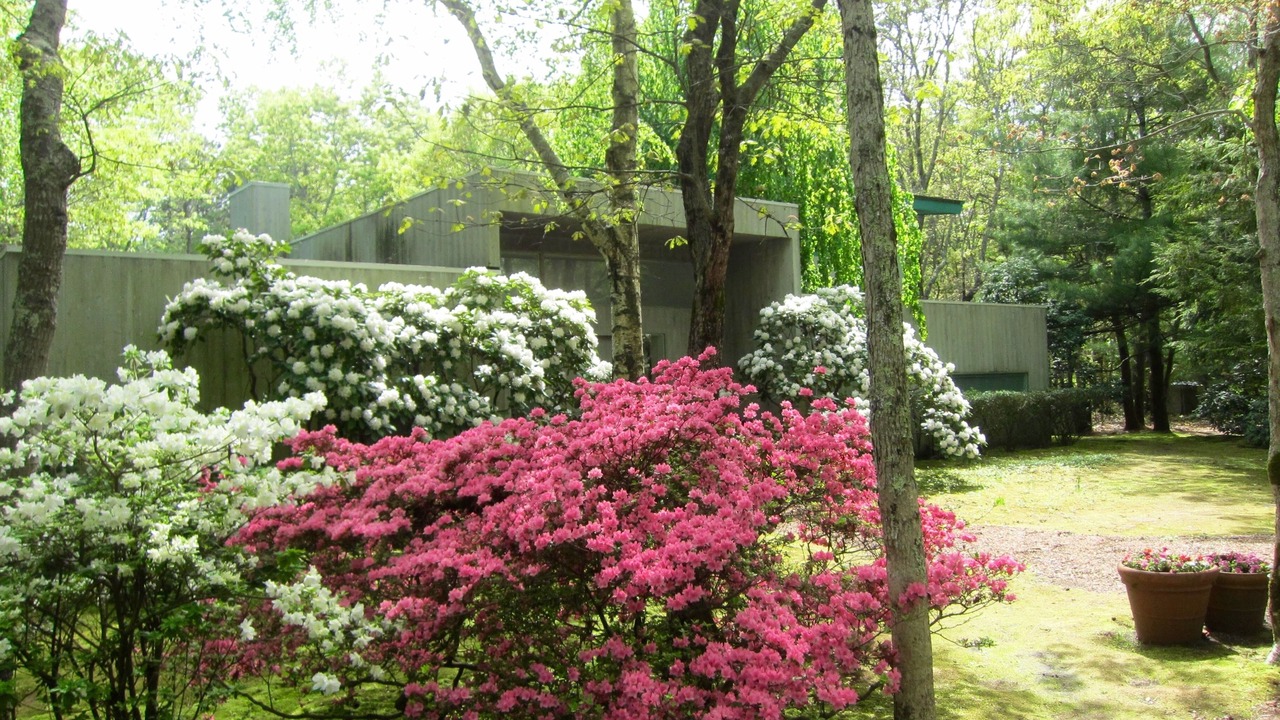 Photo of Outdoor in Wainscott