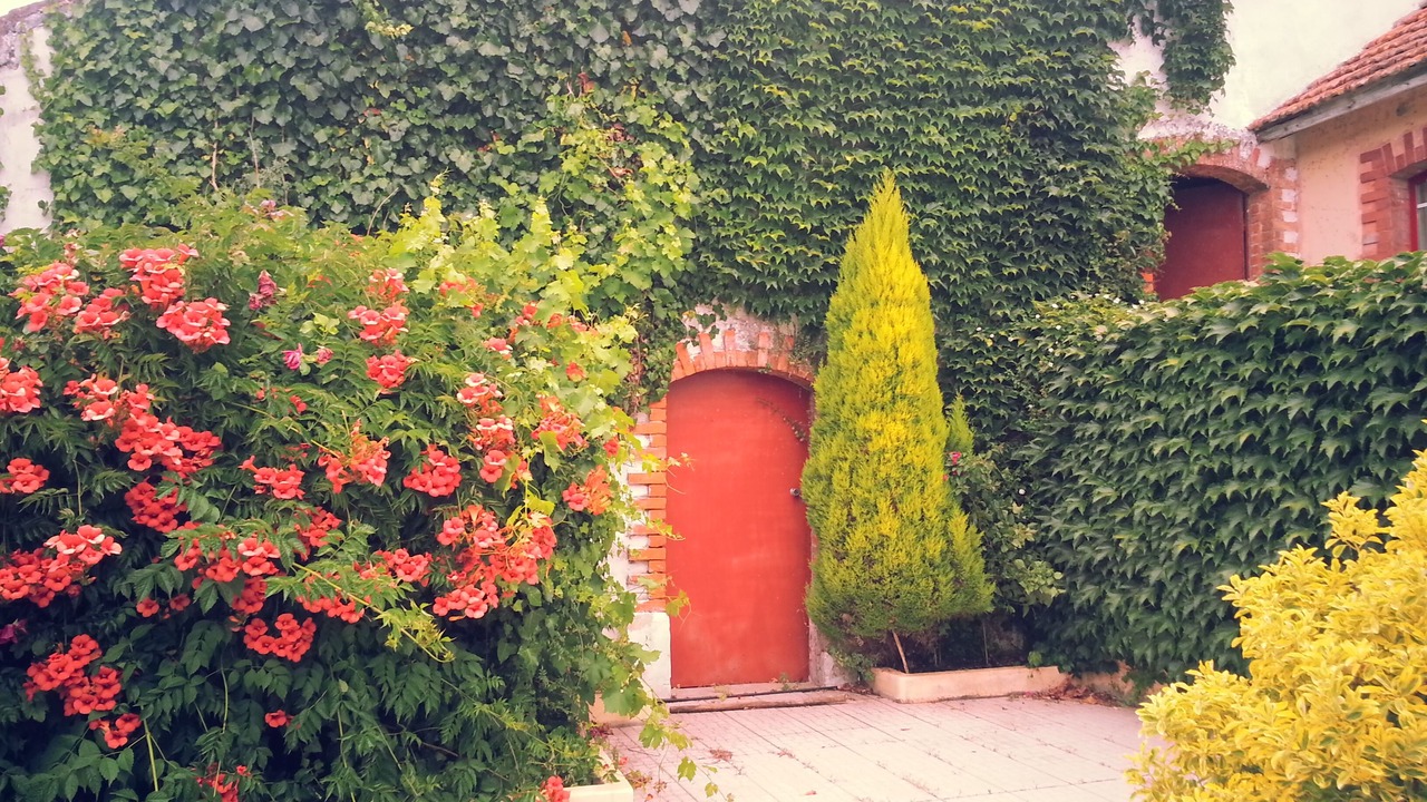 Photo of Outdoor in Alenquer