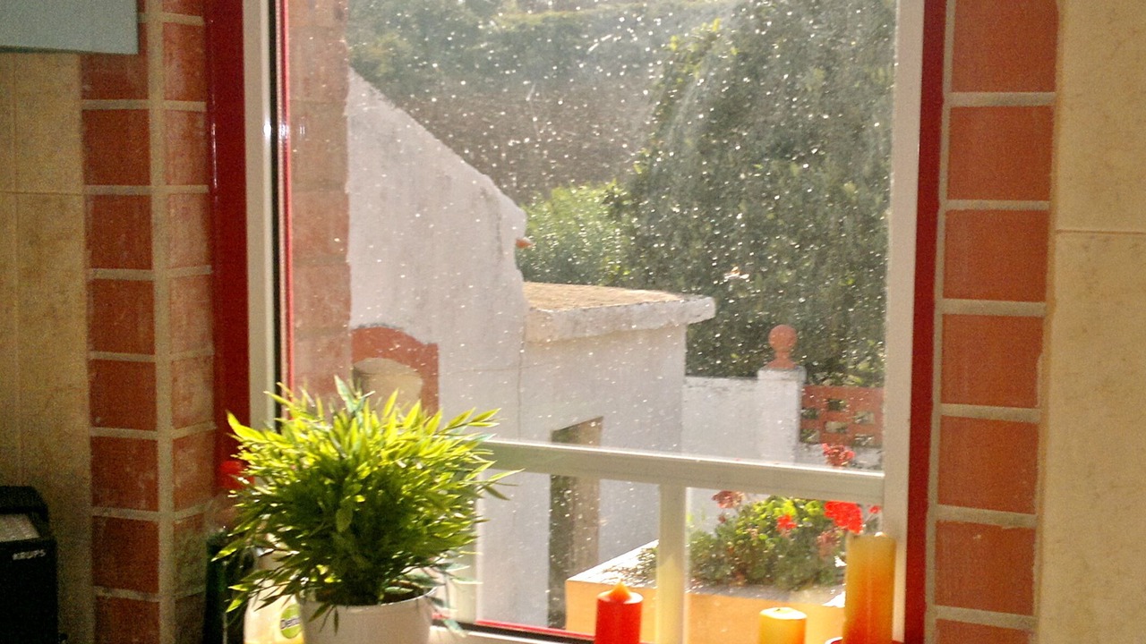 Photo of Kitchen in Alenquer