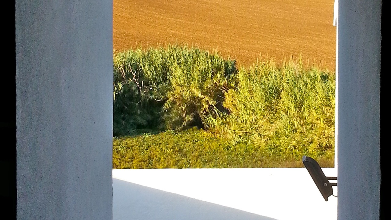 Photo of Others in Alenquer